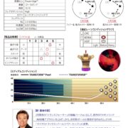 TransformPearl_石原-1 TransformPearl_石原-1