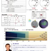 IonMaxVeil_石原-1